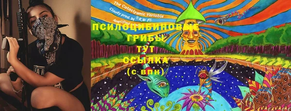 MDMA Premium VHQ Бугульма