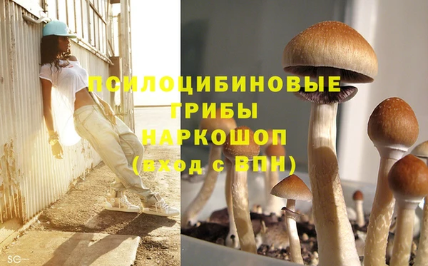 героин Бородино