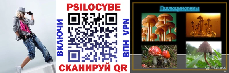 Купить закладки  Бирюч  Галлюциногенные грибы MAGIC MUSHROOMS 
